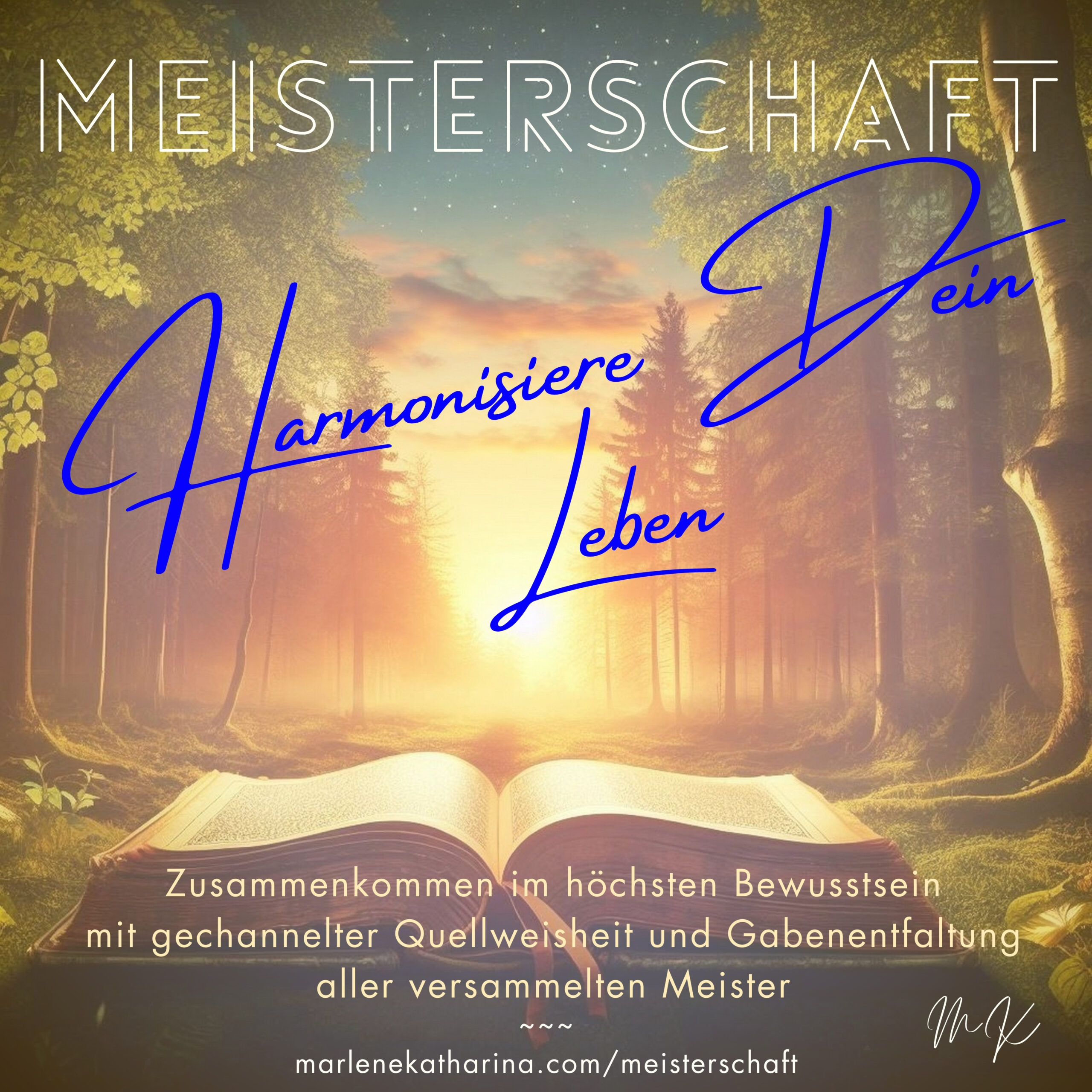 Titelbild 'Meisterschaft'